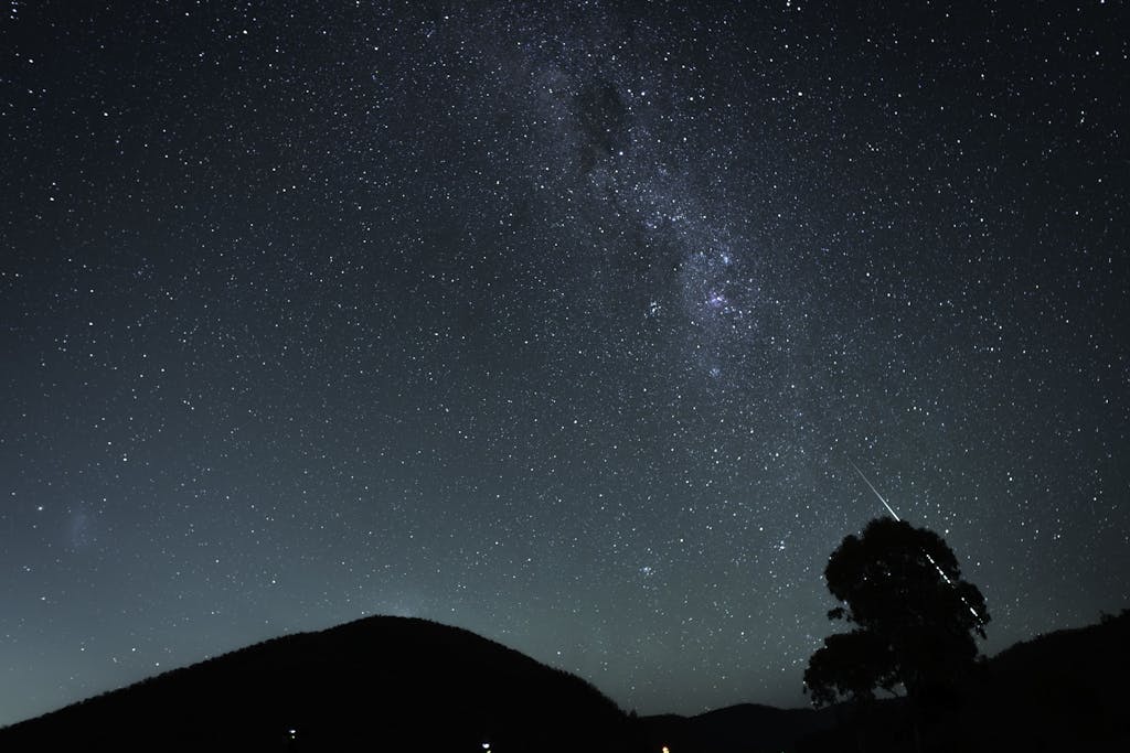 A shooting star is seen in the sky above a tree